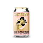 355ml Classic Can Template (PSB)